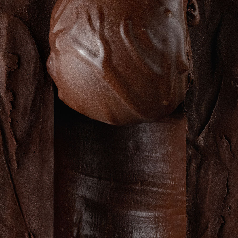 Close-up of half scooped dark chocolate sorbet