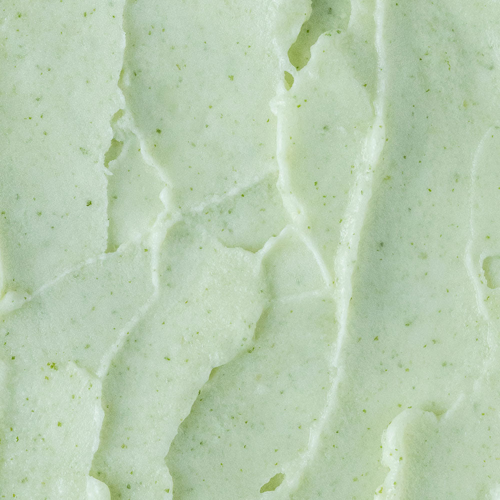 Close-up of evergreen sorbet
