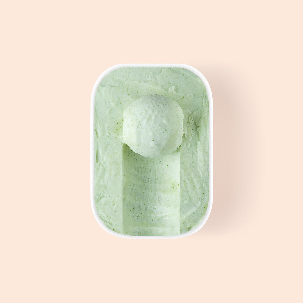 Overview of half scooped evergreen sorbet