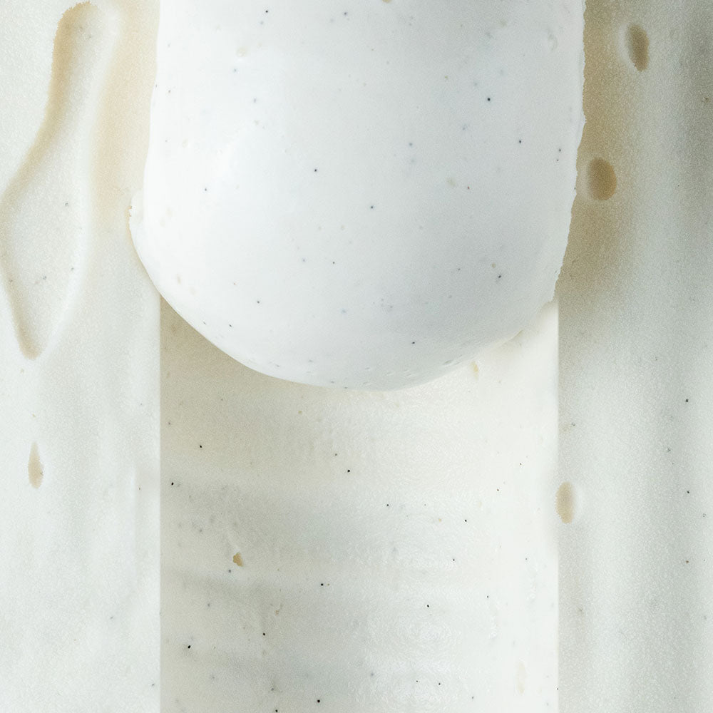 Close-up of half scooped hokkaido vanilla gelato