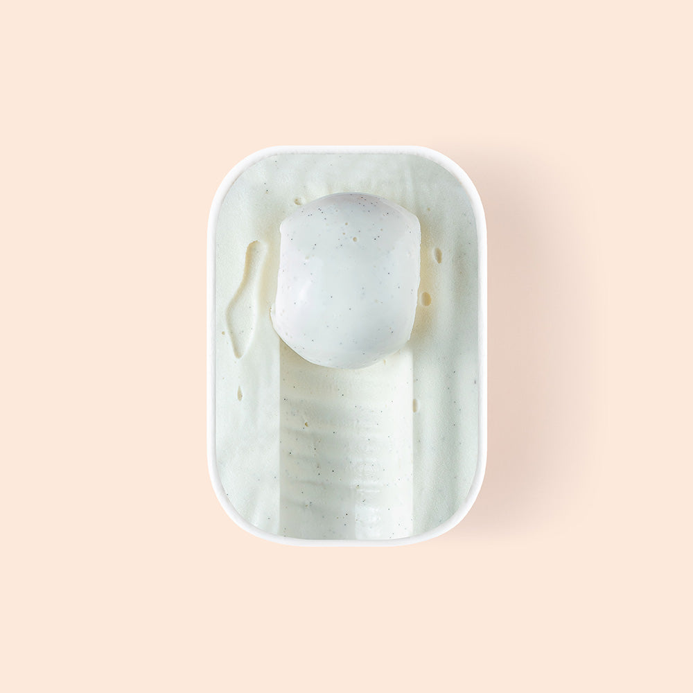 Overview of half scooped hokkaido vanilla gelato