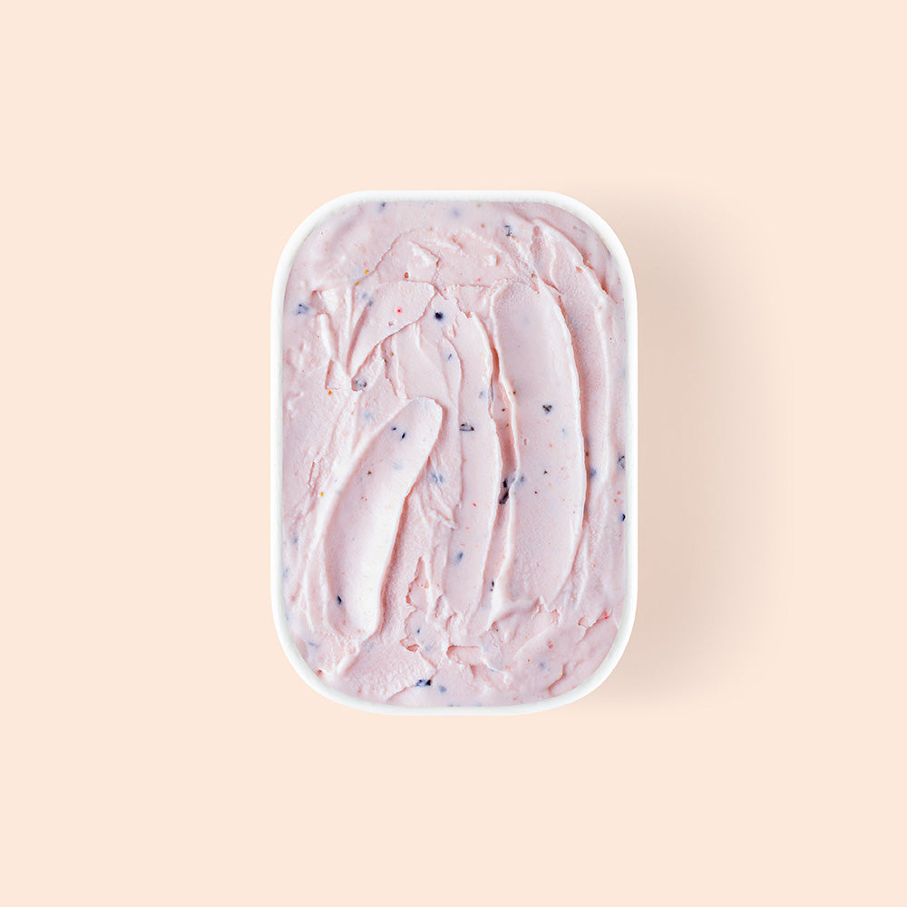 Overview of strawberry cacao nibs gelato