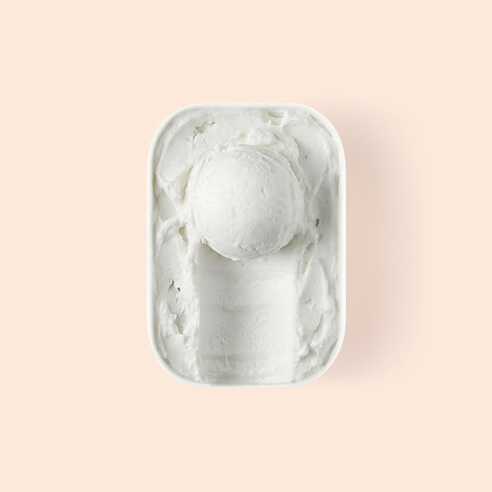 Overview of half scooped Coconut Sorbet